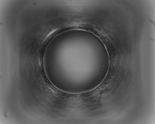 X0000097861206200803141231