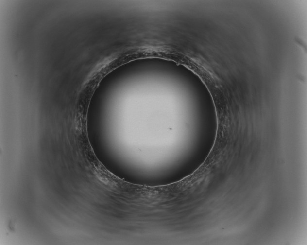 X0000097861207200803141231