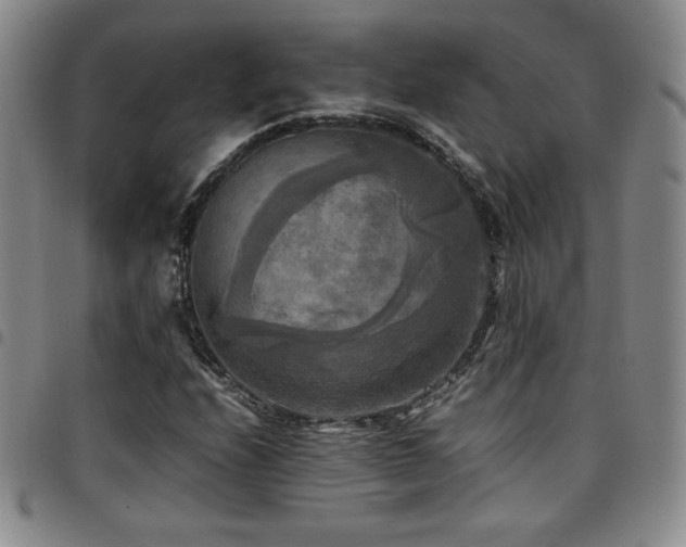 X0000097861208200803141231