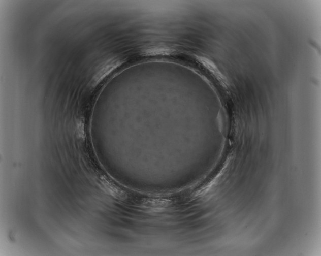X0000097861209200803141231