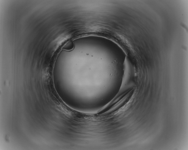 X0000097861210200803141231