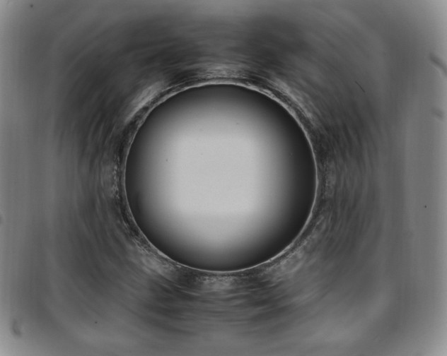 X0000097861211200803141231
