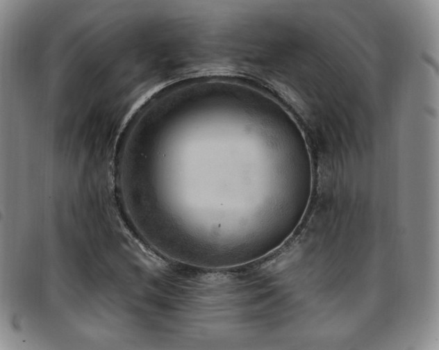 X0000097861212200803141231