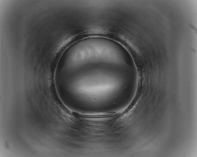 X0000097861213200803141231
