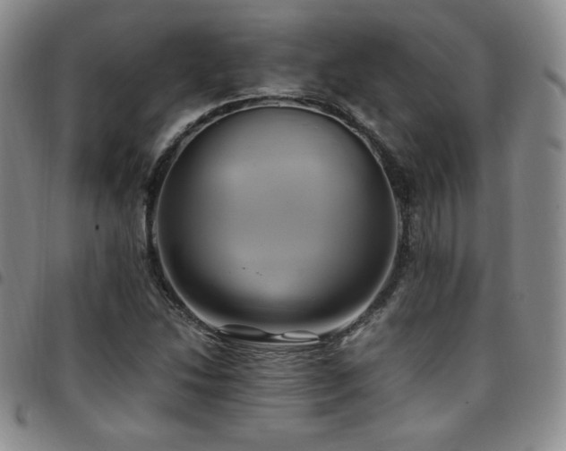 X0000097861214200803141231