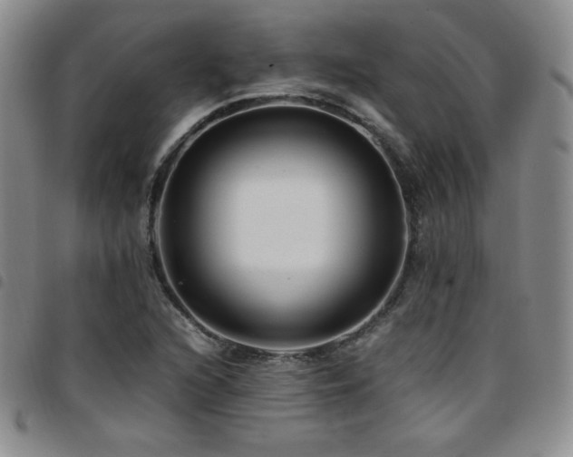 X0000097861216200803141231