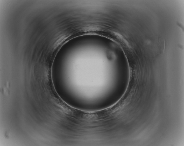 X0000097861217200803141231