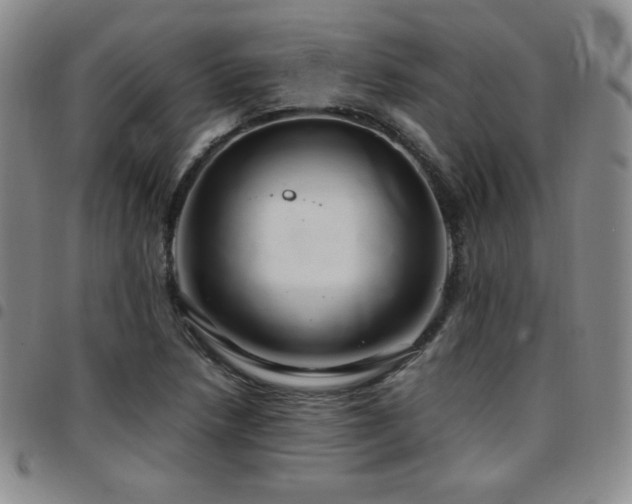 X0000097861218200803141231