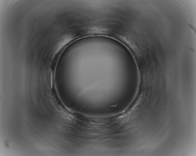 X0000097861219200803141231