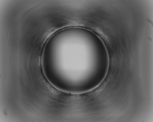 X0000097861220200803141231