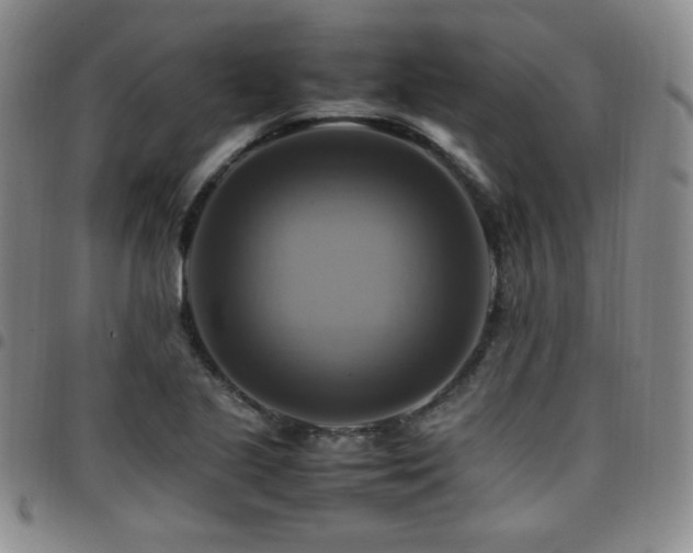 X0000097861221200803141231
