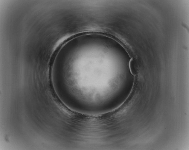 X0000097861222200803141231