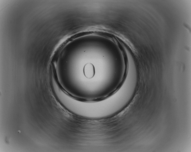 X0000097861224200803141231