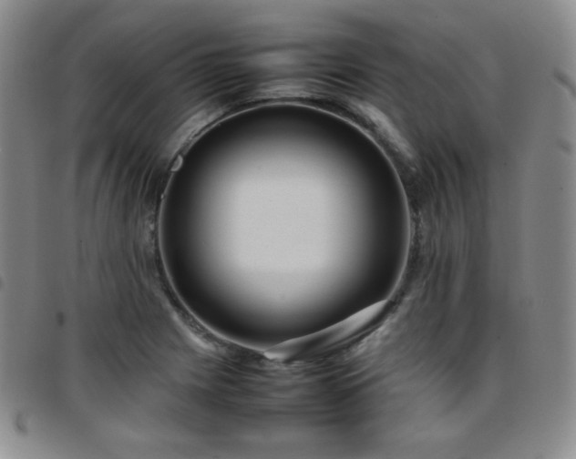 X0000097861225200803141231