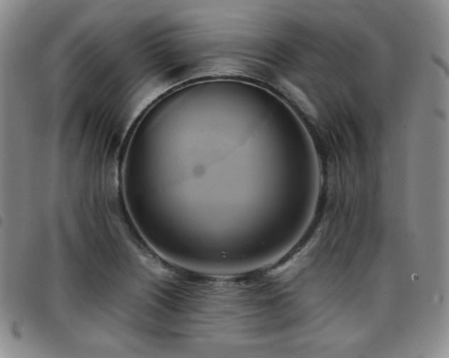 X0000097861226200803141231