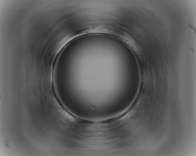 X0000097861228200803141231