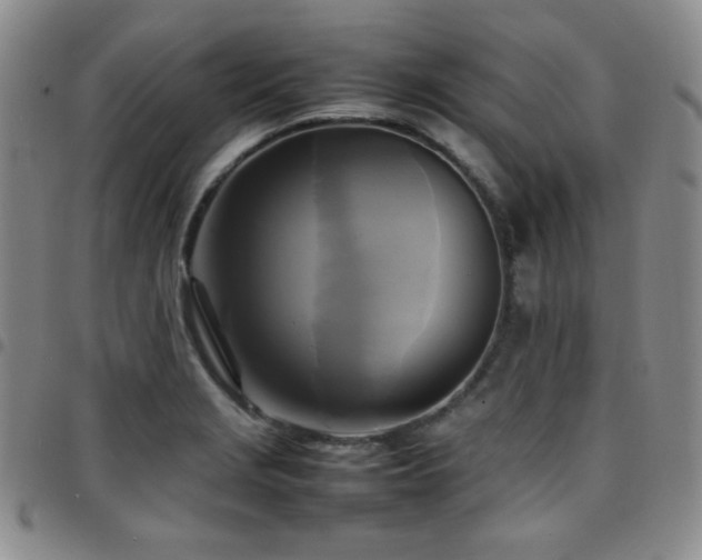 X0000097861229200803141231