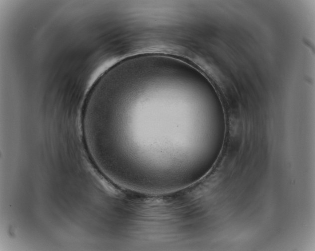 X0000097861230200803141231