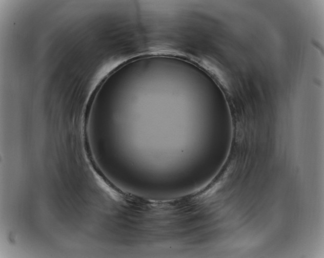 X0000097861231200803141231