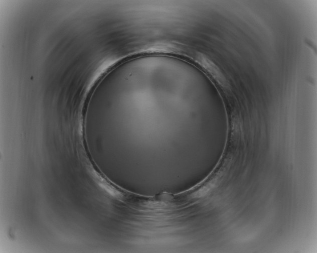 X0000097861232200803141231