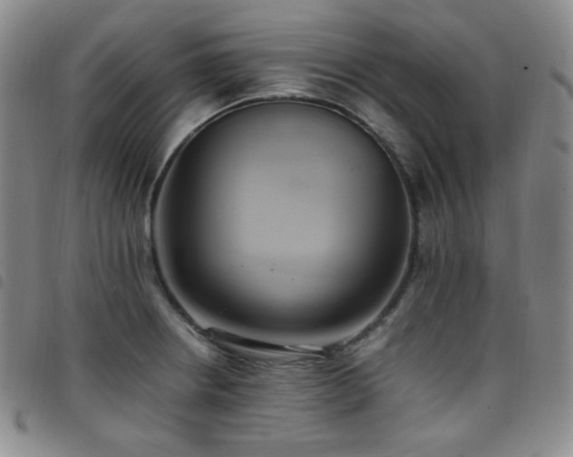 X0000097861234200803141231