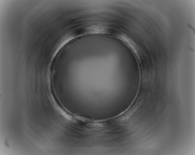 X0000097861235200803141231