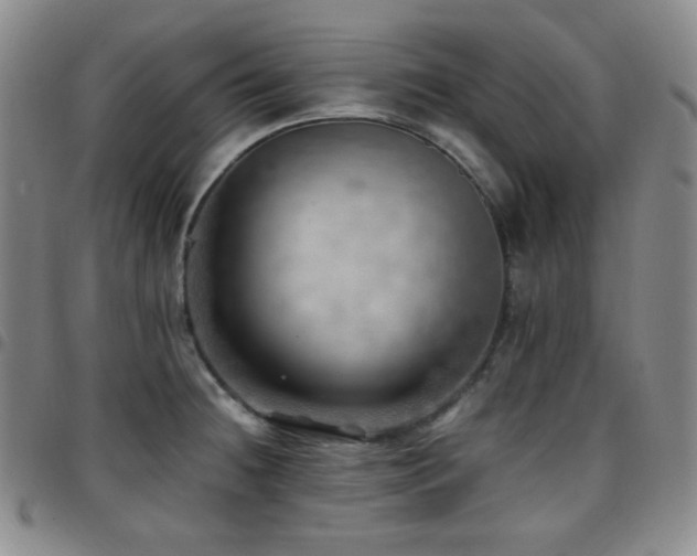 X0000097861236200803141231
