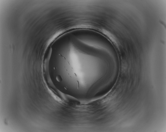 X0000097861237200803141231