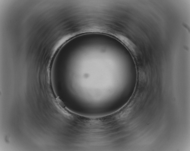 X0000097861238200803141231
