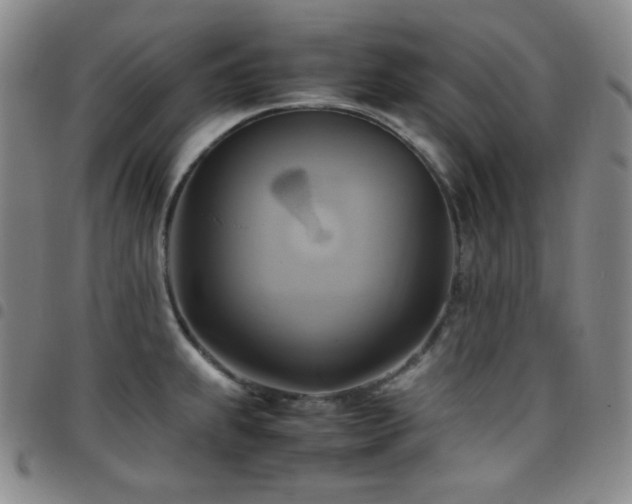 X0000097861239200803141231