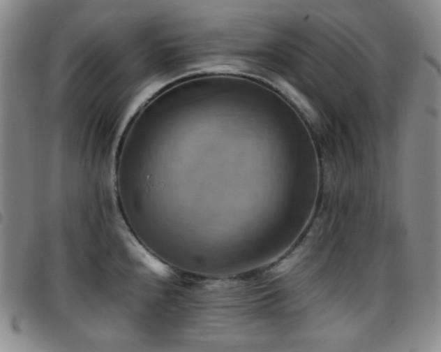X0000097861240200803141231