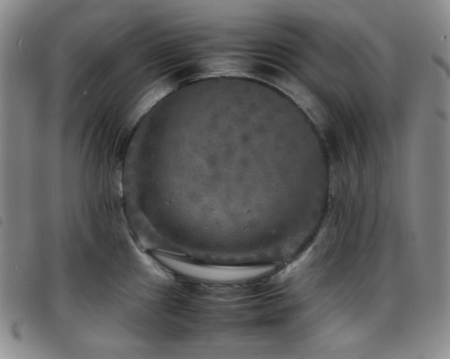 X0000097861241200803141231
