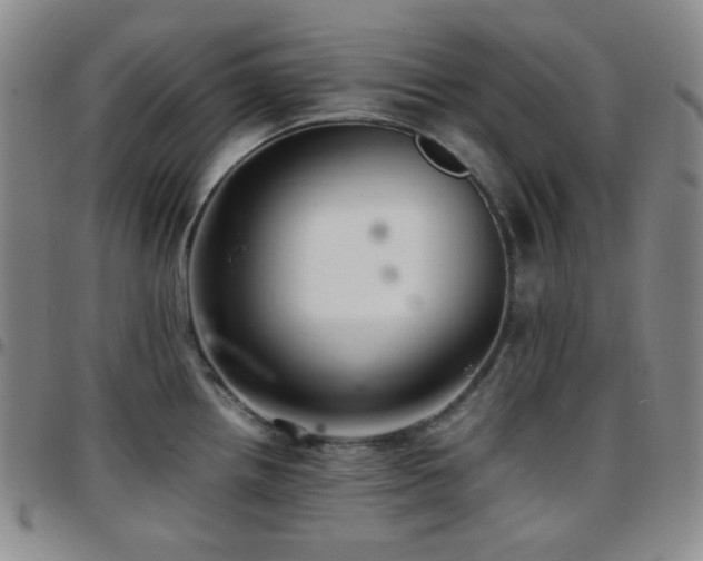 X0000097861242200803141231