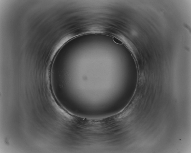 X0000097861243200803141231