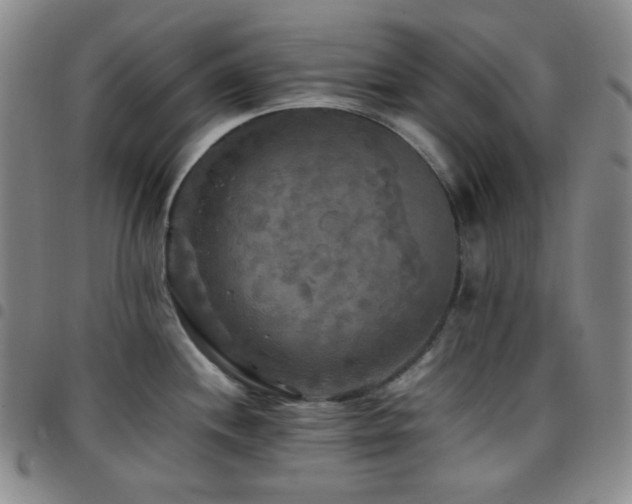 X0000097861244200803141231