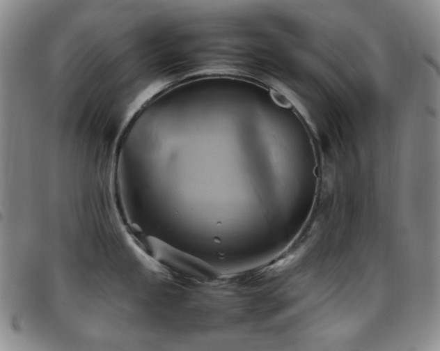 X0000097861245200803141231