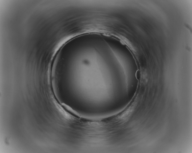 X0000097861246200803141231