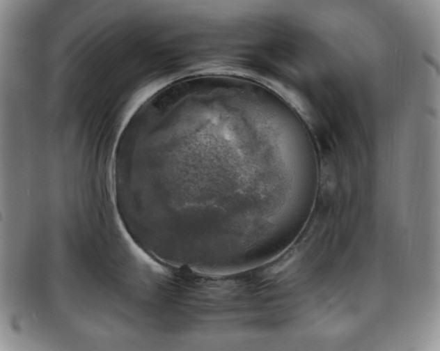 X0000097861247200803141231