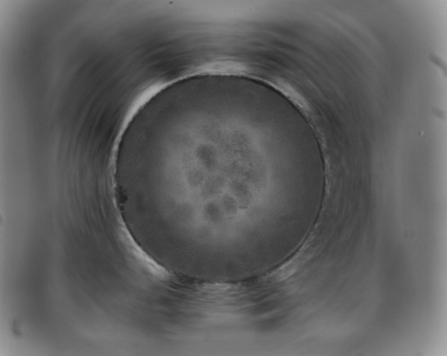 X0000097861248200803141231