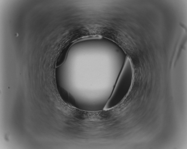 X0000097861249200803141231