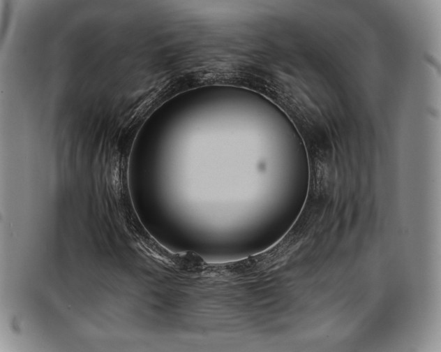 X0000097861250200803141231