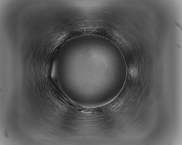 X0000097861252200803141231