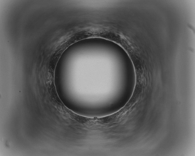 X0000097861253200803141231