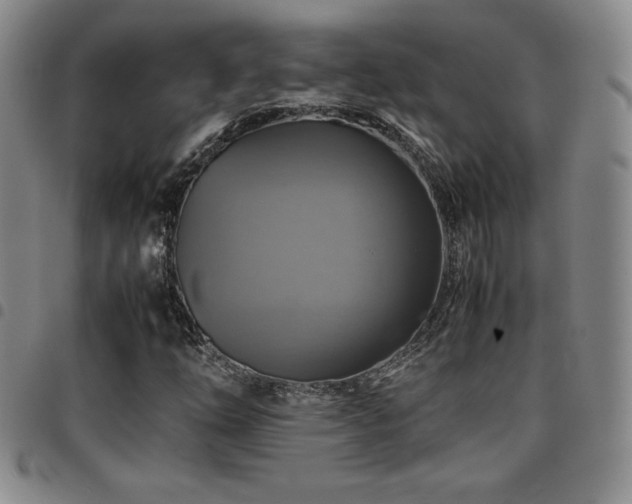 X0000097861254200803141231