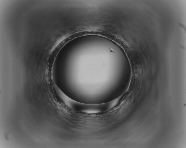 X0000097861256200803141231