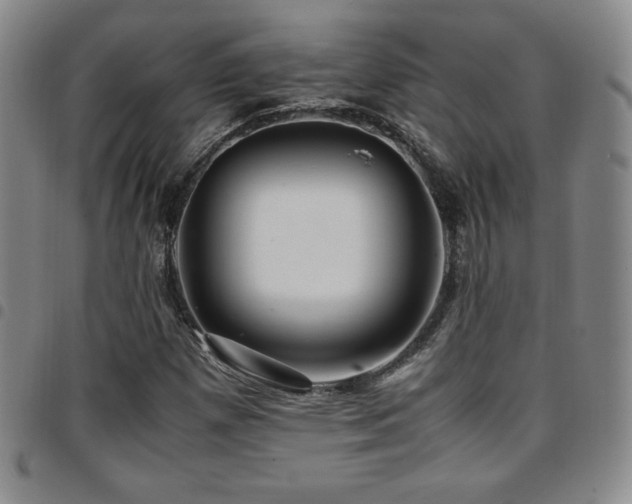 X0000097861257200803141231