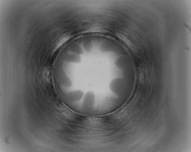 X0000097861258200803141231