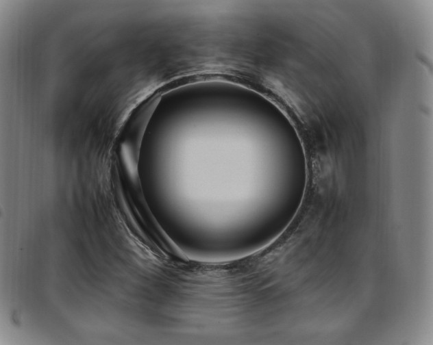 X0000097861260200803141231