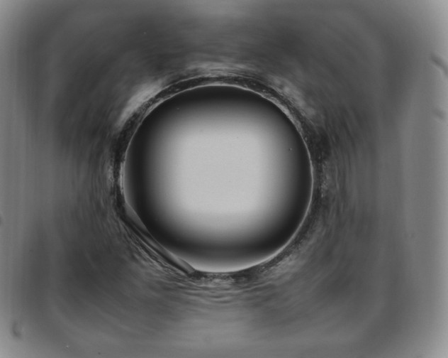 X0000097861261200803141231