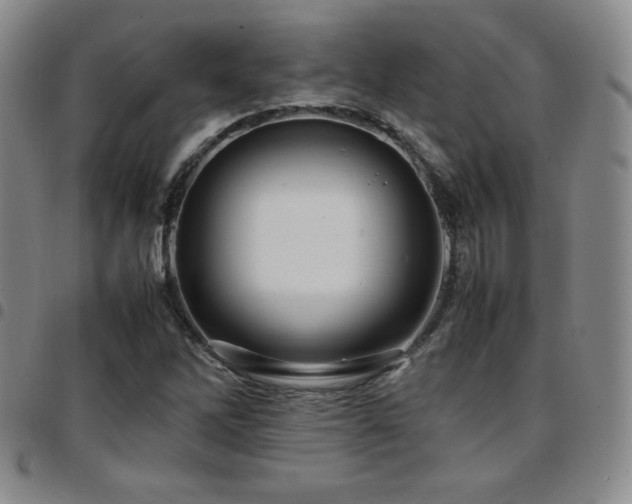 X0000097861262200803141231